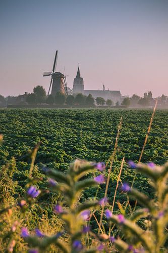 Mistige zonsopkomst in Wouw, Noord-Brabant