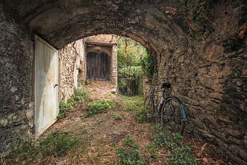 Nature morte abandonnée sur Markus Bieck