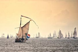 Impression Delfsail