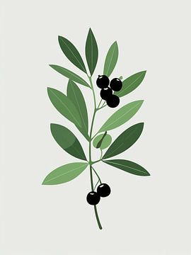 Berry Branch by Giandra Safaraz