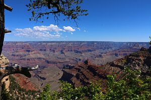 Atemberaubend Schön - Der Grand Canyon in Arizona