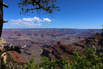 Atemberaubend Schön - Der Grand Canyon in Arizona von Christiane Schulze