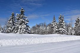 Eine Landstraße im Winter von Claude Laprise