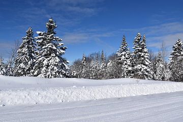 A country road in winter by Claude Laprise