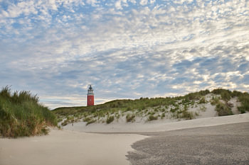 Der Leuchtturm auf Texel 2