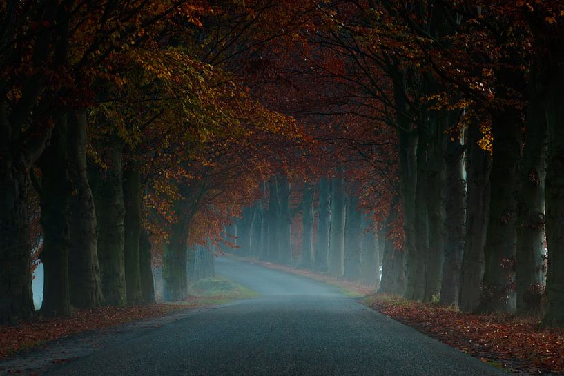 Misty Road by Martin Podt