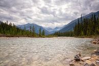 Canada Kootenay rivier van Vivo Fotografie thumbnail