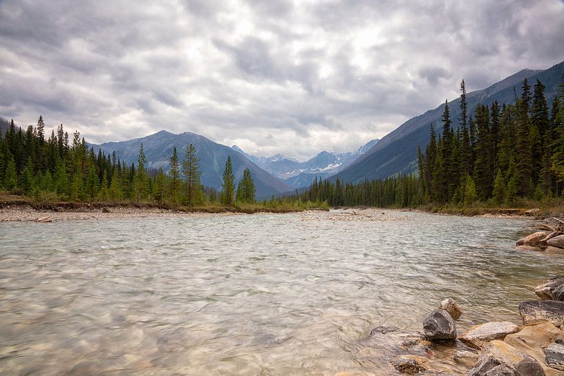 Canada Kootenay rivier van Vivo Fotografie