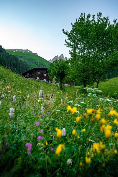 Prairie fleurie avec chalet de montagne rustique de l'Allgäu par Leo Schindzielorz