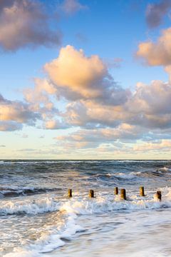 d'anciens épis balayés par les vagues