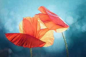 Fragile