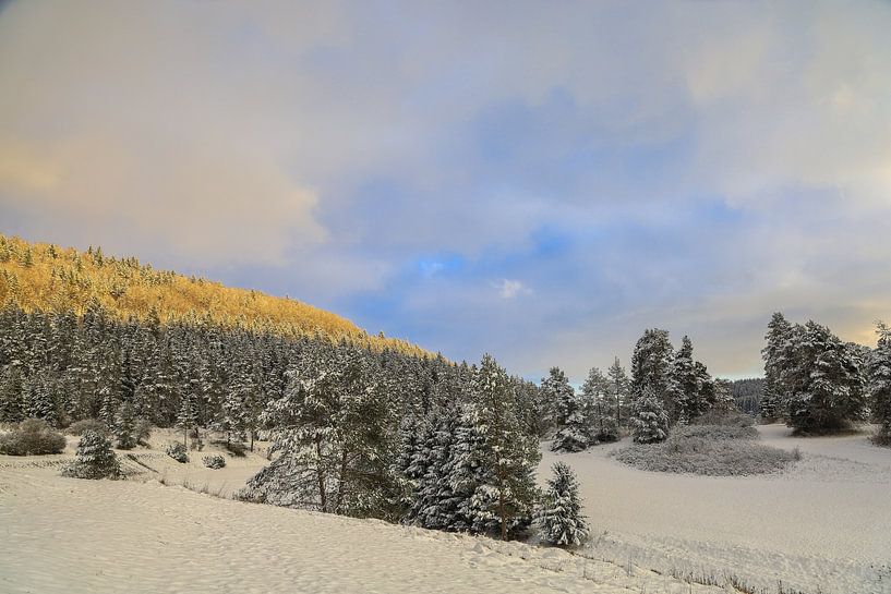 Winterlandschap bij Bergsteig in het avondlicht in het natuurpark Opper-Donau van BlattArt - Christine Horn