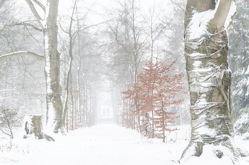 Märchenhafte Winterwelt