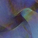 Easancies 02 by Nelson Guerreiro thumbnail