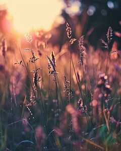 Goldene Stunde