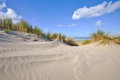 Mer du Nord avec dunes et plage