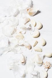 Nur Knoblauch von Isa Dolk