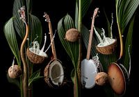 Coconut Banjo