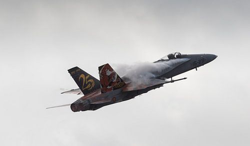 Hornet