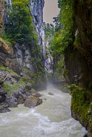 Aareschlucht - Suisse