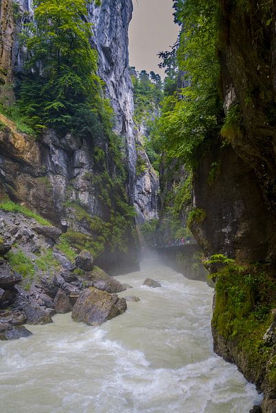 Aareschlucht - Suisse par Bart van den Dikkenberg