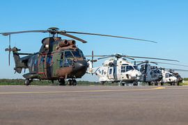 Transporthubschrauber Cougar und Seehubschrauber NH-90 auf dem Vorfeld von Jimmy van Drunen