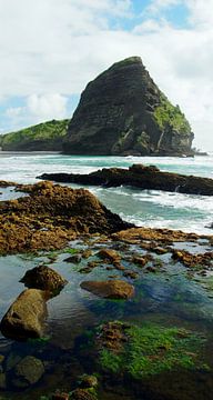 Piha Beach, Auckland - New Zealand van Van Oostrum Photography
