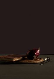 Red Onion by Studio Loeffen