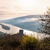 The Rhine Valley and the Rheingau in the morning light by Jens Sessler