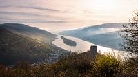 La vallée du Rhin et le Rheingau à la lumière du matin par Jens Sessler Aperçu
