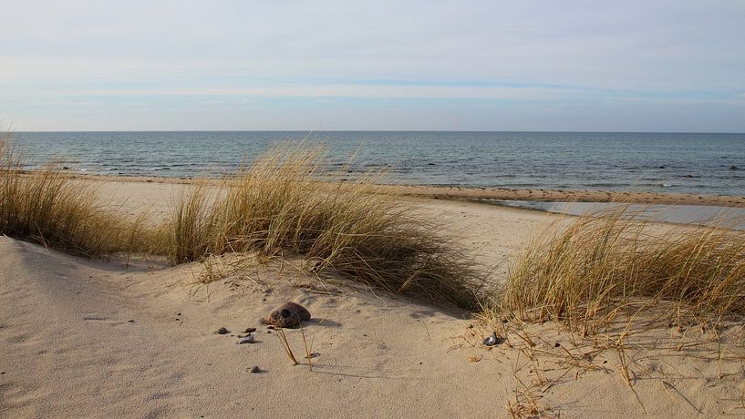 Een bewolkte dag van Ostsee Bilder