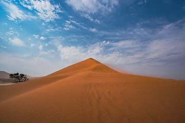 Duin in Sossusvlei in Namibië, Afrika van Patrick Groß