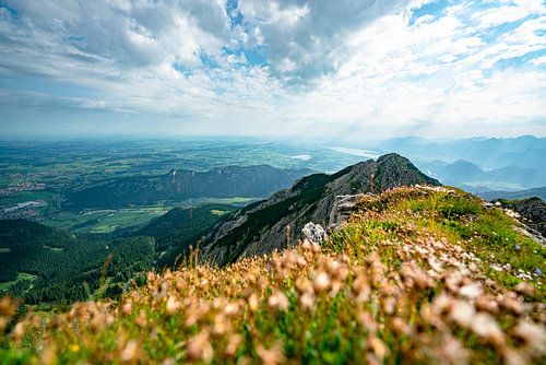 Puschelbloemen boven de Ostallgäu en zijn meren