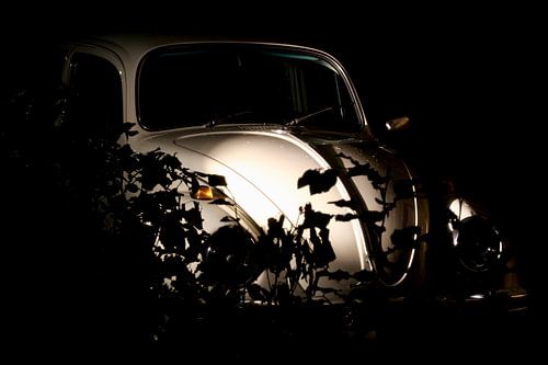 Beetle at night