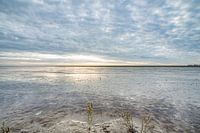 Peace and quiet on the Wadden Sea coast