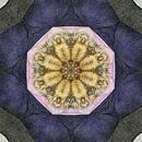 Ginger Cat On Blue Sofa Kaleidoscope by Dorothy Berry-Lound thumbnail