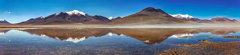 La Laguna Colorada dans l'Altiplano en Bolivie par Roland Brack