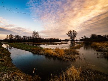 Niederländischer Himmel über den Überschwemmungsgebieten in der Betuwe von Hans de Waay