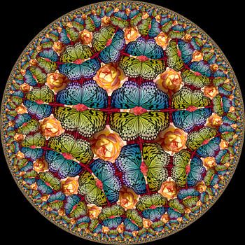 Vlinders in Rozentuin