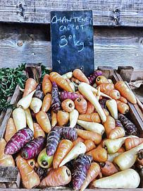 Chantaney Carrot Mania sur Dorothy Berry-Lound