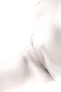 Künstlerischer Akt einer Vagina und eines Bauches in High Key Farbe