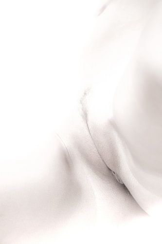 Artistiek Naakt van een Vagina en Buik in High Key Kleur