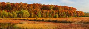 Herbst in Drenthe