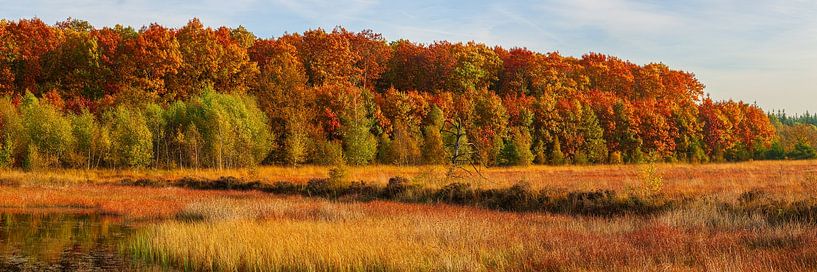 Herbst in Drenthe von Henk Meijer Photography