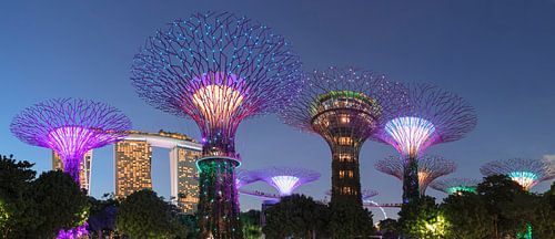 Supertrees, Gardens by the Bay, Singapore