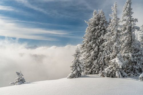 Randonnée hivernale au-dessus des nuages dans la Nagelfluhkette avec vue sur les Alpes de l'Allgäu