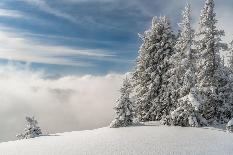 Winter hiking above the clouds in the Nagelfluhkette with a view of the Allgäu Alps by Daniel Pahmeier