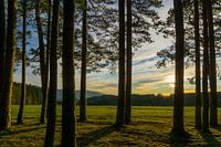 Germany, Sunset in the middle of the black forest nature landscape