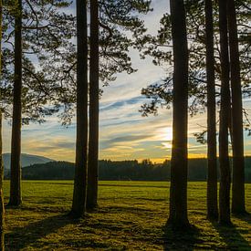 Germany, Sunset in the middle of the black forest nature landscape by adventure-photos