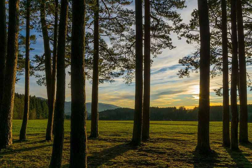 Germany, Sunset in the middle of the black forest nature landscape by adventure-photos